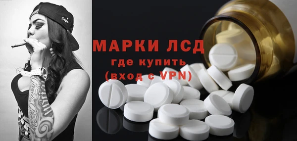 сатива Алзамай